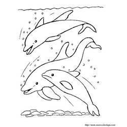 Disegno da colorare: Delfino (Animali) #5251 - Pagine da Colorare Stampabili Gratuite