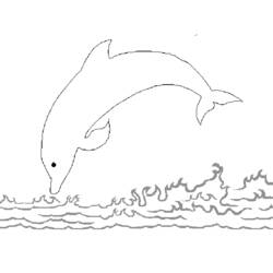 Disegno da colorare: Delfino (Animali) #5278 - Pagine da Colorare Stampabili Gratuite