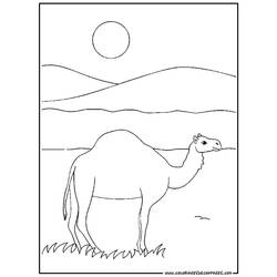 Disegno da colorare: Dromedario (Animali) #5931 - Pagine da Colorare Stampabili Gratuite