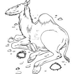 Disegno da colorare: Dromedario (Animali) #5979 - Pagine da Colorare Stampabili Gratuite