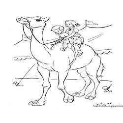 Disegno da colorare: Dromedario (Animali) #5994 - Pagine da Colorare Stampabili Gratuite