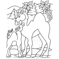Disegno da colorare: Dromedario (Animali) #6037 - Pagine da Colorare Stampabili Gratuite