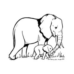 Disegno da colorare: Elefante (Animali) #6300 - Pagine da Colorare Stampabili Gratuite