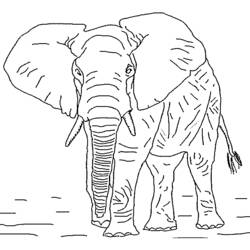 Disegno da colorare: Elefante (Animali) #6306 - Pagine da Colorare Stampabili Gratuite