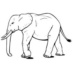 Disegno da colorare: Elefante (Animali) #6310 - Pagine da Colorare Stampabili Gratuite