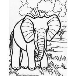 Disegno da colorare: Elefante (Animali) #6327 - Pagine da Colorare Stampabili Gratuite