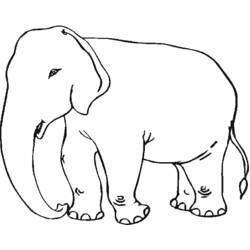 Disegno da colorare: Elefante (Animali) #6342 - Pagine da Colorare Stampabili Gratuite