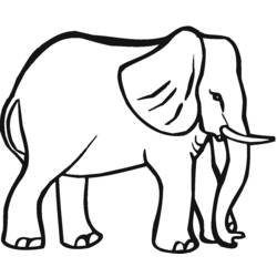 Disegno da colorare: Elefante (Animali) #6401 - Pagine da Colorare Stampabili Gratuite