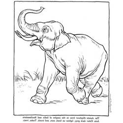 Disegno da colorare: Elefante (Animali) #6442 - Pagine da Colorare Stampabili Gratuite