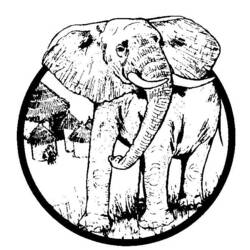 Disegno da colorare: Elefante (Animali) #6485 - Pagine da Colorare Stampabili Gratuite