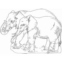Disegno da colorare: Elefante (Animali) #6486 - Pagine da Colorare Stampabili Gratuite