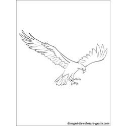 Disegno da colorare: Falco (Animali) #6851 - Pagine da Colorare Stampabili Gratuite