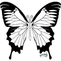 Disegno da colorare: Farfalla (Animali) #15664 - Pagine da Colorare Stampabili Gratuite