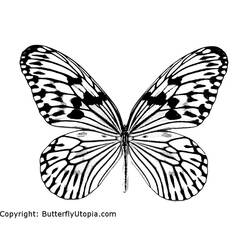 Disegno da colorare: Farfalla (Animali) #15665 - Pagine da Colorare Stampabili Gratuite