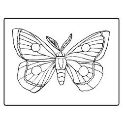 Disegno da colorare: Farfalla (Animali) #15667 - Pagine da Colorare Stampabili Gratuite