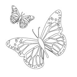 Disegno da colorare: Farfalla (Animali) #15672 - Pagine da Colorare Stampabili Gratuite