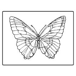 Disegno da colorare: Farfalla (Animali) #15673 - Pagine da Colorare Stampabili Gratuite