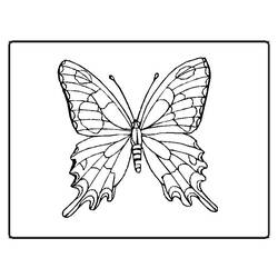 Disegno da colorare: Farfalla (Animali) #15678 - Pagine da Colorare Stampabili Gratuite