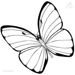 Disegno da colorare: Farfalla (Animali) #15680 - Pagine da Colorare Stampabili Gratuite