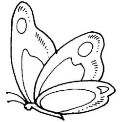 Disegno da colorare: Farfalla (Animali) #15685 - Pagine da Colorare Stampabili Gratuite