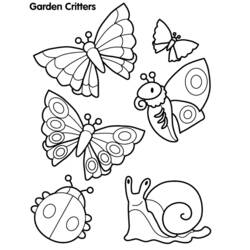 Disegno da colorare: Farfalla (Animali) #15714 - Pagine da Colorare Stampabili Gratuite