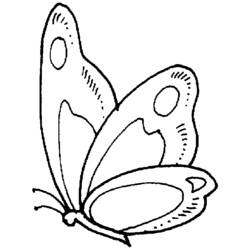 Disegno da colorare: Farfalla (Animali) #15719 - Pagine da Colorare Stampabili Gratuite