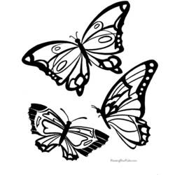 Disegno da colorare: Farfalla (Animali) #15730 - Pagine da Colorare Stampabili Gratuite