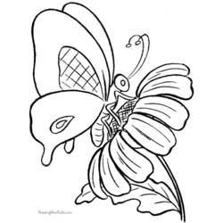 Disegno da colorare: Farfalla (Animali) #15732 - Pagine da Colorare Stampabili Gratuite