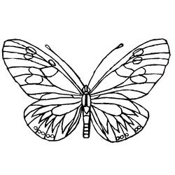 Disegno da colorare: Farfalla (Animali) #15745 - Pagine da Colorare Stampabili Gratuite