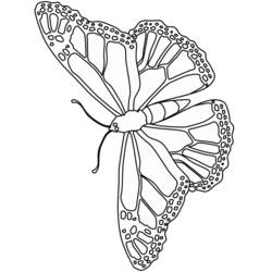 Disegno da colorare: Farfalla (Animali) #15773 - Pagine da Colorare Stampabili Gratuite