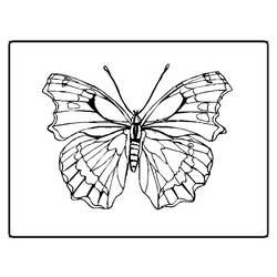 Disegno da colorare: Farfalla (Animali) #15774 - Pagine da Colorare Stampabili Gratuite