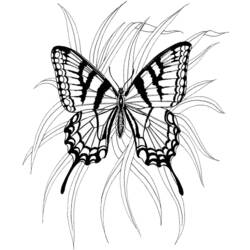 Disegno da colorare: Farfalla (Animali) #15786 - Pagine da Colorare Stampabili Gratuite