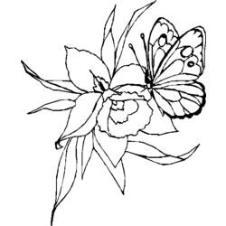 Disegno da colorare: Farfalla (Animali) #15790 - Pagine da Colorare Stampabili Gratuite