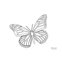 Disegno da colorare: Farfalla (Animali) #15794 - Pagine da Colorare Stampabili Gratuite