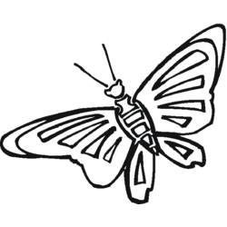 Disegno da colorare: Farfalla (Animali) #15813 - Pagine da Colorare Stampabili Gratuite