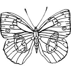 Disegno da colorare: Farfalla (Animali) #15814 - Pagine da Colorare Stampabili Gratuite