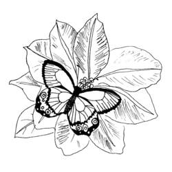Disegno da colorare: Farfalla (Animali) #15815 - Pagine da Colorare Stampabili Gratuite