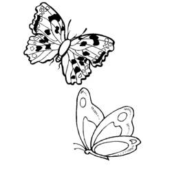 Disegno da colorare: Farfalla (Animali) #15828 - Pagine da Colorare Stampabili Gratuite