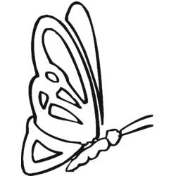 Disegno da colorare: Farfalla (Animali) #15840 - Pagine da Colorare Stampabili Gratuite