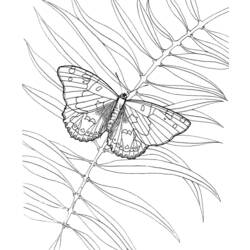Disegno da colorare: Farfalla (Animali) #15841 - Pagine da Colorare Stampabili Gratuite