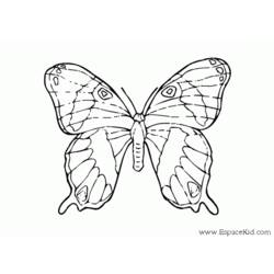 Disegno da colorare: Farfalla (Animali) #15857 - Pagine da Colorare Stampabili Gratuite