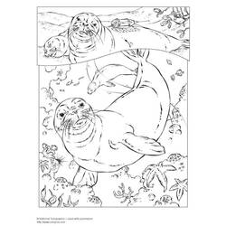 Disegno da colorare: Foca (Animali) #16291 - Pagine da Colorare Stampabili Gratuite