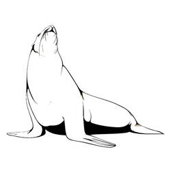 Disegno da colorare: Foca (Animali) #16292 - Pagine da Colorare Stampabili Gratuite