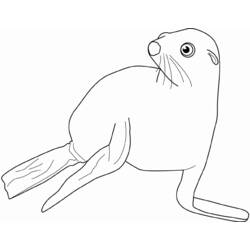 Disegno da colorare: Foca (Animali) #16303 - Pagine da Colorare Stampabili Gratuite