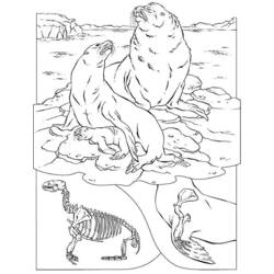 Disegno da colorare: Foca (Animali) #16337 - Pagine da Colorare Stampabili Gratuite