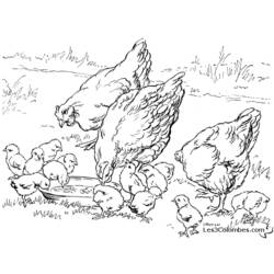 Disegno da colorare: Gallina (Animali) #17519 - Pagine da Colorare Stampabili Gratuite