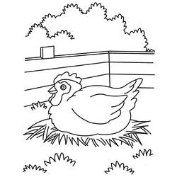 Disegno da colorare: Gallina (Animali) #17535 - Pagine da Colorare Stampabili Gratuite