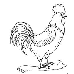 Disegno da colorare: Gallo (Animali) #4085 - Pagine da Colorare Stampabili Gratuite