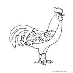 Disegno da colorare: Gallo (Animali) #4088 - Pagine da Colorare Stampabili Gratuite