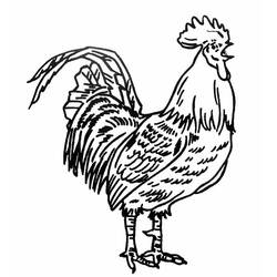 Disegno da colorare: Gallo (Animali) #4104 - Pagine da Colorare Stampabili Gratuite